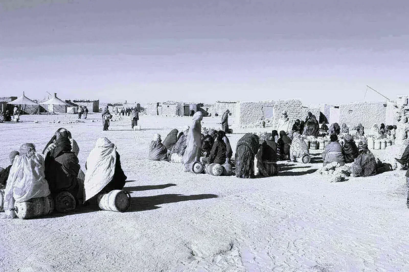 في عشق لاجئة (1)